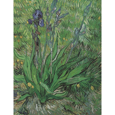 Iris canvas by Van Gogh
